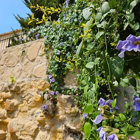 Casa de hóspedes Flor