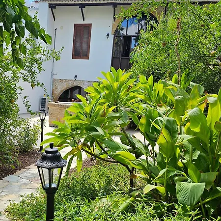 Flor * Nicósia