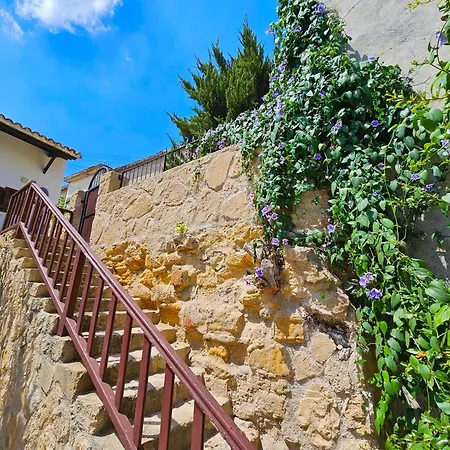 Casa de hóspedes Flor