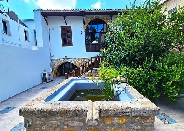 Flor Pensión Nicosia